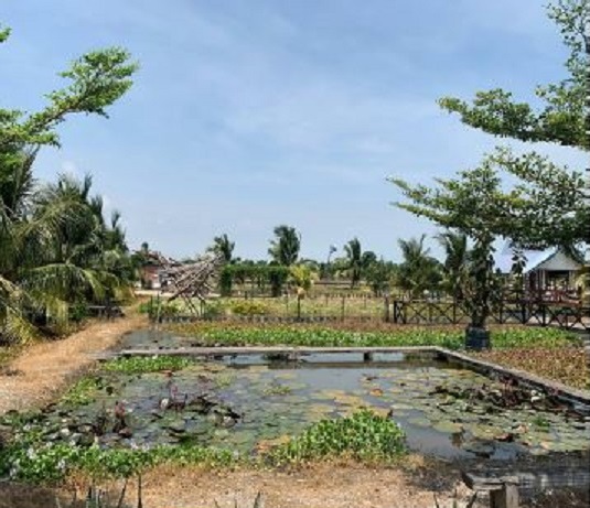 Taman Agro Teknologi MARDI Tanjung Karang
